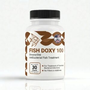 Fish Doxy (Doxycycline) Capsules Fish Antibiotics.